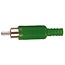 Tulp (m) audio/video connector - plastic / groen