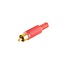 Tulp (m) audio/video connector - verguld - plastic / rood