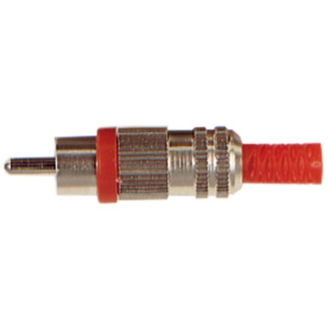 Tulp (m) audio/video connector - tot 6mm - metaal/plastic / rood