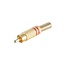 Tulp (m) audio/video connector - tot 6mm - verguld - metaal / rood