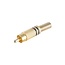 Tulp (m) audio/video connector - tot 6mm - verguld - metaal / zwart