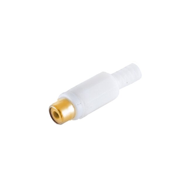 Tulp (v) audio/video connector - verguld - plastic / wit