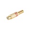 Tulp (v) audio/video connector - tot 6mm - verguld - metaal / rood