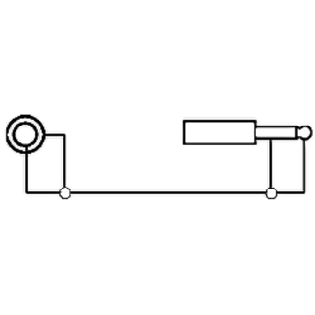 6,35mm Jack mono (m) - Tulp mono (v) audio adapter