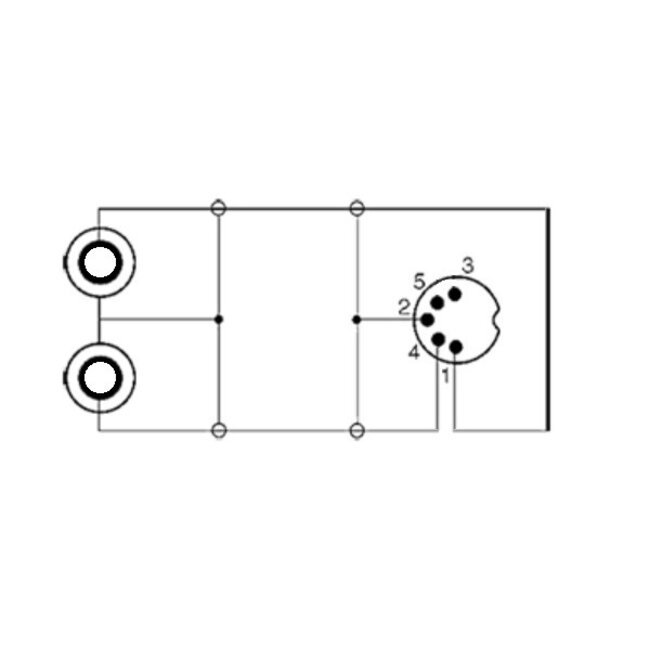 DIN 5-pins (m) - Tulp stereo 2RCA (v) audio adapter (opnemen) / zwart - 0,20 meter