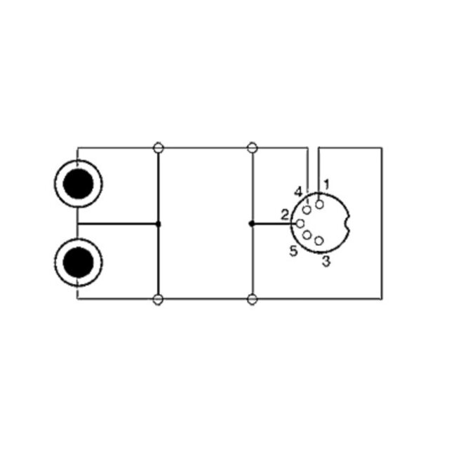 DIN 5-pins (v) - Tulp stereo 2RCA (m) audio adapter (opnemen) / zwart - 0,20 meter