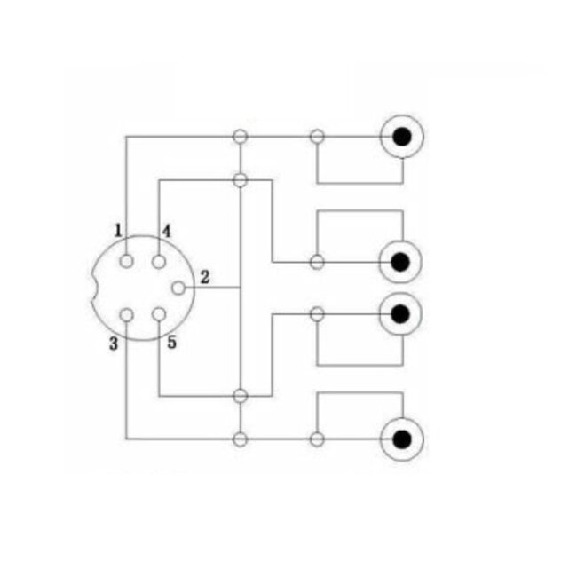 DIN 5-pins (v) - 2x Tulp stereo 2RCA (m) audio adapter (recorder - versterker) / zwart - 0,20 meter