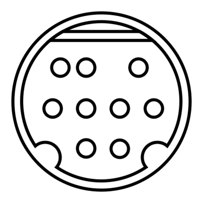 Mini DIN 9-pins / Mini Scart - Tulp Composiet 3RCA kabel - 0,20 meter