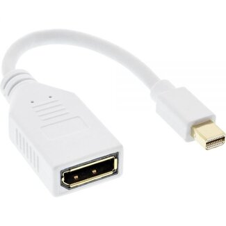 InLine Mini DisplayPort - DisplayPort adapter - versie 1.2 (4K 60 Hz) / wit - 0,15 meter