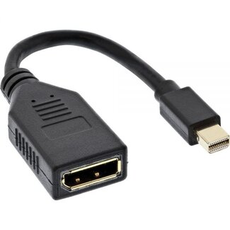 InLine Mini DisplayPort - DisplayPort adapter - versie 1.2 (4K 60 Hz) / zwart - 0,15 meter