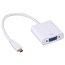 Micro HDMI naar VGA + 3,5mm Jack & Micro USB adapter / wit - 0,15 meter