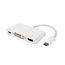 USB-C naar DVI, USB-A en USB-C PD adapter met DP Alt Mode (1920 x 1200) / wit - 0,10 meter