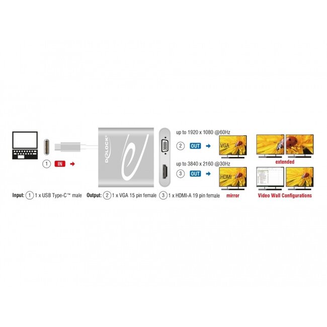 Premium USB-C naar HDMI en VGA splitter met DP Alt Mode (4K 30 Hz) / zilver - 0,10 meter