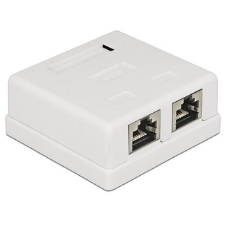 DeLOCK CAT6 Gigabit netwerk uitvoerdoos/montagedoos met 2 RJ45 poorten - afgeschermd - tool-free / wit