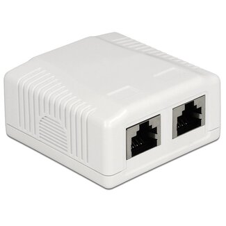 DeLOCK CAT6a Gigabit netwerk uitvoerdoos/montagedoos met 2 RJ45 poorten - afgeschermd / wit