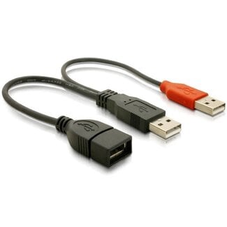 DeLOCK USB naar USB Y-adapter - USB2.0 - tot 2A / zwart - 0,20 meter