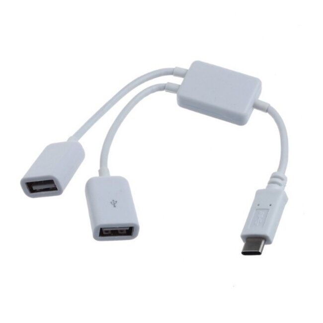 USB-C hub met 2 USB-A poorten - busgevoed - USB2.0 / wit - 0,15 meter