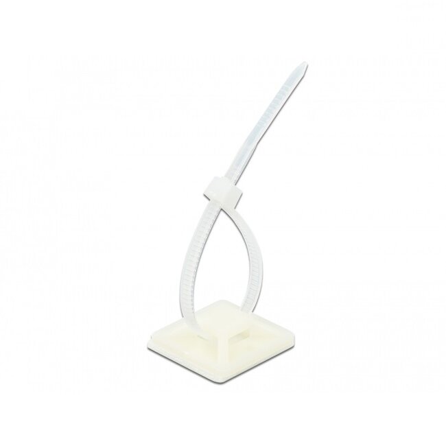 Tie-wraps 200 x 4,8mm (10 stuks) met zelfklevende houders (10 stuks) / transparant