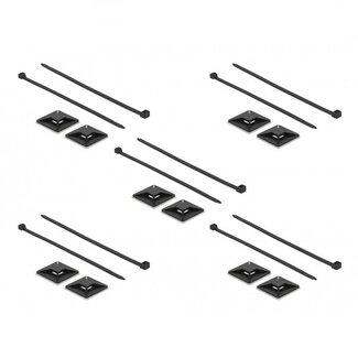 DeLOCK Tie-wraps 250 x 7,2mm (10 stuks) met zelfklevende houders (10 stuks) / zwart