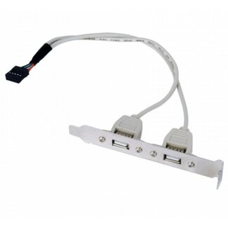 Cablexpert Pin Header bracket USB2.0 (v) - 2x USB-A (v) - 0,25 meter