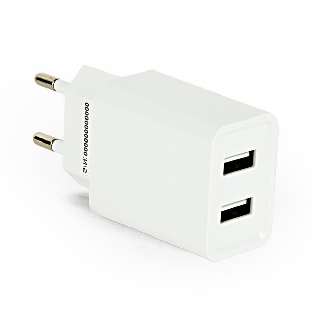 USB thuislader met 2 poorten - Smart IC - recht - 2,1A / wit