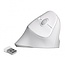DeLOCK ergonomische draadloze USB muis met 6 knoppen - 800-1600 DPI / wit