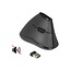 DeLOCK stille ergonomische draadloze USB muis met 5 knoppen - 1000 DPI / zwart