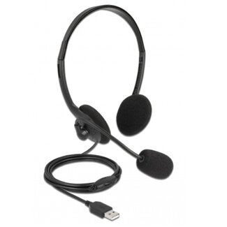 DeLOCK DeLOCK super lichtgewicht stereo on-ear headset - USB-A / zwart - 2,4 meter