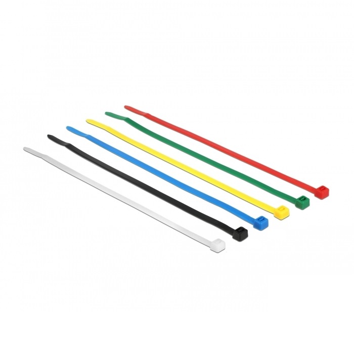 DeLOCK 18626 kabelbinder Nylon Zwart, Blauw, Groen, Rood, Transparant, Geel 200 stuk(s)