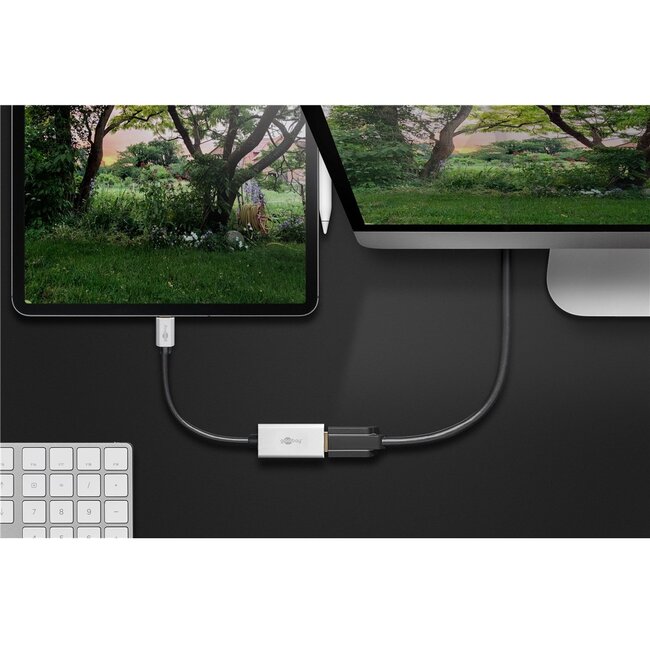USB-C naar HDMI 8K 30Hz / 4K 120Hz adapter / aluminium - 0,15 meter