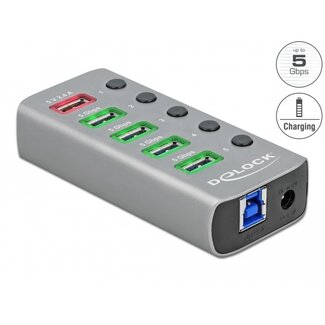 DeLOCK DeLOCK USB hub met 4+1 poorten en aan/uit schakelaars - USB3.0 - externe 12V voeding / grijs - 0,80 meter