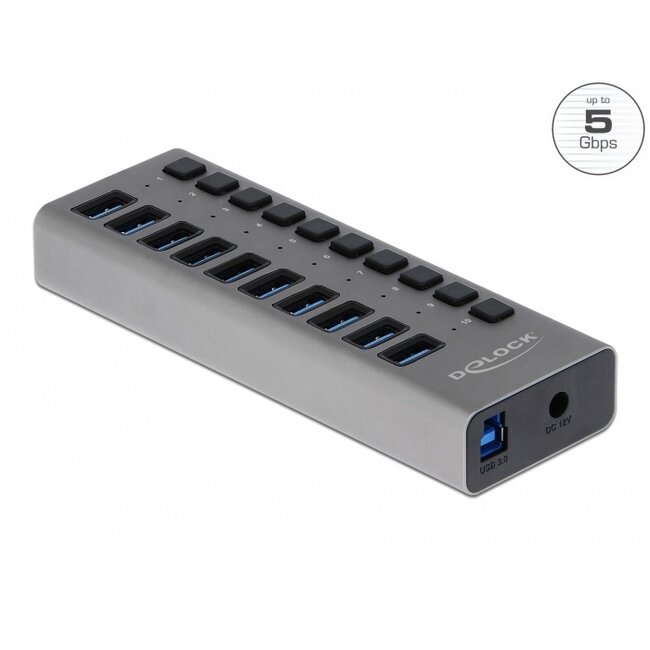 DeLOCK USB hub met 10 poorten en aan/uit schakelaars - USB3.0 - externe 12V voeding / grijs - 1 meter