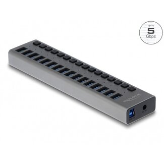 DeLOCK DeLOCK USB hub met 16 poorten en aan/uit schakelaars - USB3.0 - externe 12V voeding / grijs - 1 meter