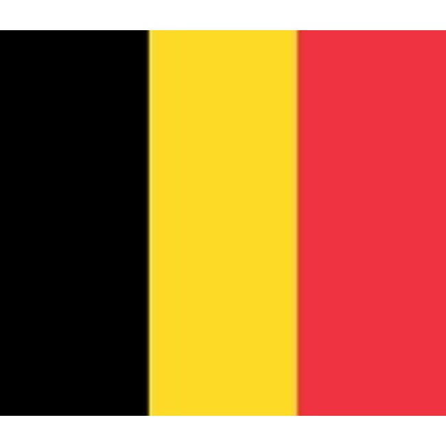 Brennenstuhl Eco-Line stekkerdoos met 3 contacten en schakelaar / zwart (België) - 3 meter