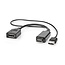 HDMI (m) naar DisplayPort (v) actieve adapter - HDMI 2.0 / DP 1.2 (4K 60Hz) - voeding via USB-A (m) / zwart - 0,20 meter