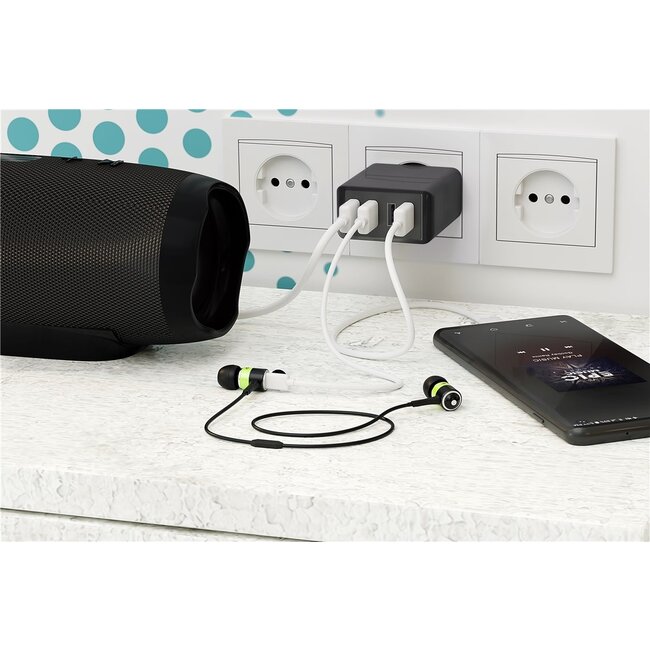 Goobay USB thuislader met 4 poorten - Smart IC - 6A / zwart