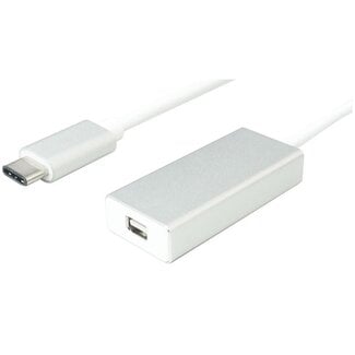 Universal USB-C naar Mini DisplayPort adapter (4K 60 Hz) / wit - 0,10 meter