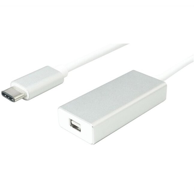 USB-C naar Mini DisplayPort adapter (4K 60 Hz) / wit - 0,10 meter