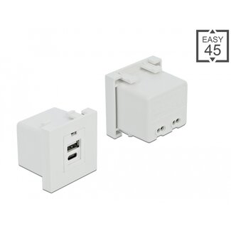 DeLOCK Delock Easy 45 USB Charging Port Module 1 x Type-A + 1 x USB Type-C™