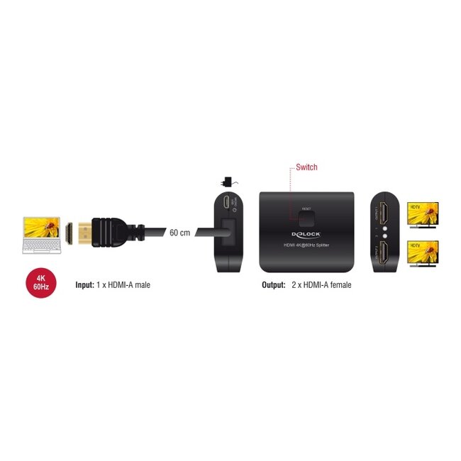 Delock HDMI Splitter 1 x HDMI in to 2 x HDMI out 4K 60 Hz with downscaler