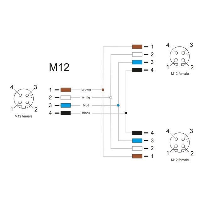 Delock M12 T-Splitter A-coded 4 pin 1 x female to 2 x female parallel connection