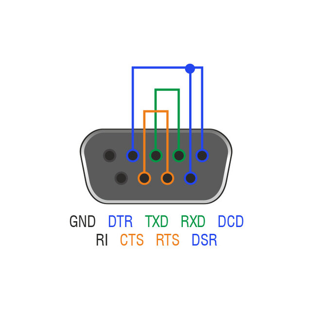 Delock Adapter RS-232 DB9 female Loopback
