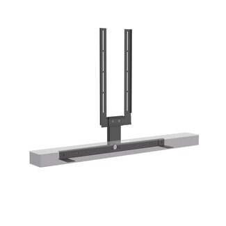 Cavus Cavus Accessoire Punt Frame voor TV vloerstandaard [Samsung Universeel]