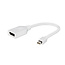 Mini DisplayPort naar DisplayPort adapterkabel 10 cm