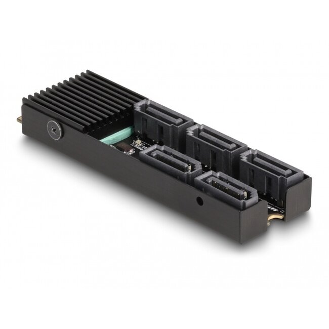 Delock Converter M.2 2280 Key B+M male to 5 x SATA with heat sink