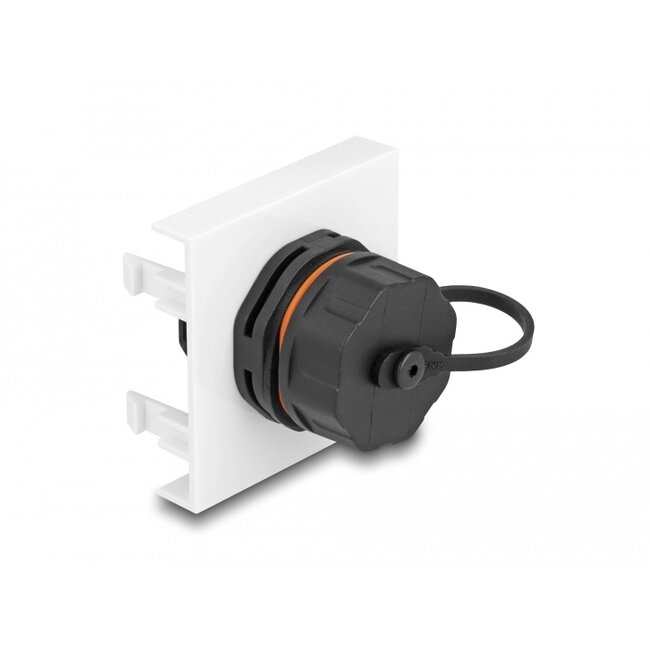 Delock Easy 45 Module Network RJ45 Cat.6A, 45 x 45 mm