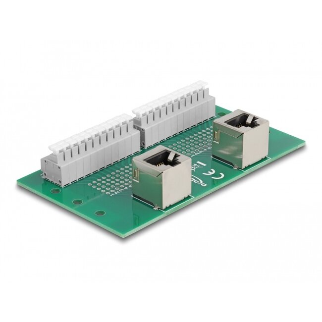 Delock RJ50 2 x female to 2 x Terminal Block with push-button for DIN rail angled