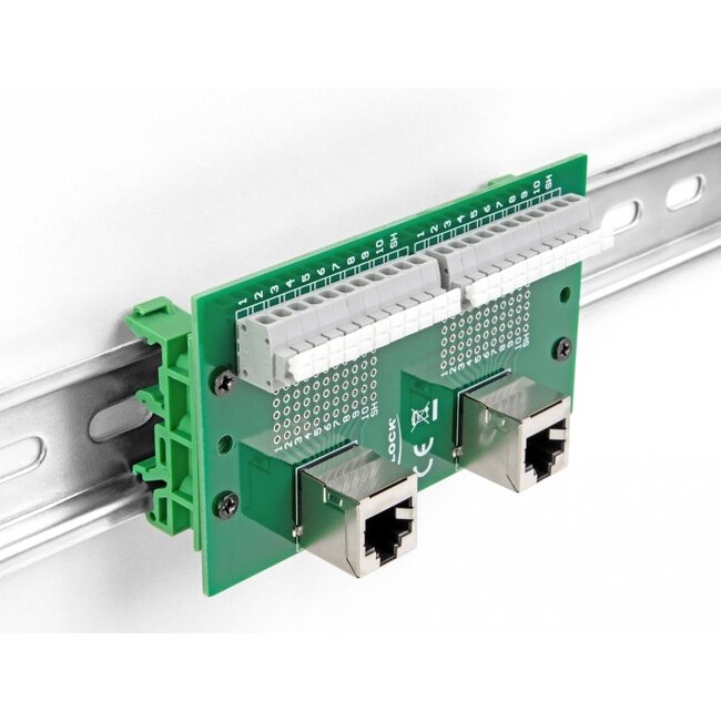 Delock RJ50 2 x female to 2 x Terminal Block with push-button for DIN rail angled