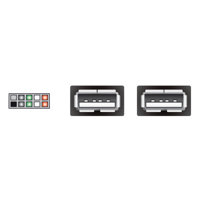 Delock USB Cable Pin header female > 2 x USB 2.0 type-A female 20 cm