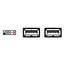 Delock USB Cable Pin header female > 2 x USB 2.0 type-A female 20 cm